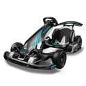 Segway-Ninebot Gokart Pro 2